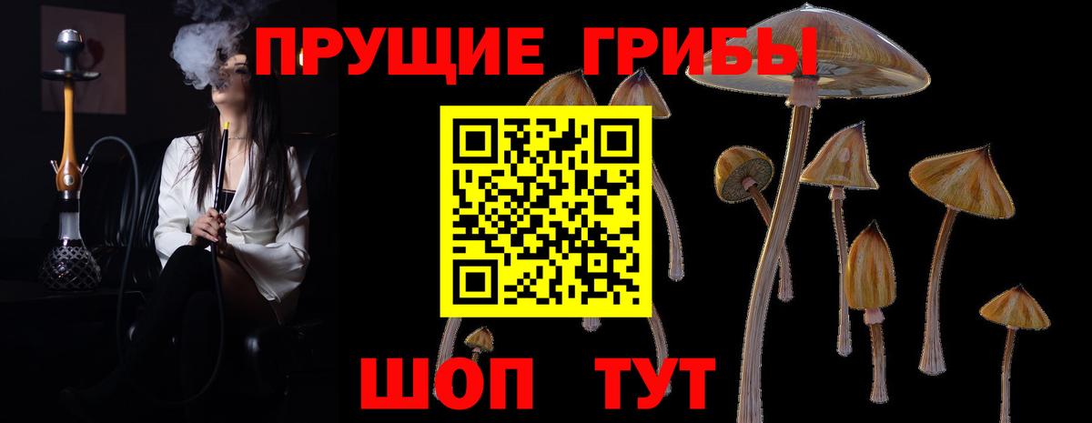 Галлюциногенные грибы GOLDEN TEACHER Сургут