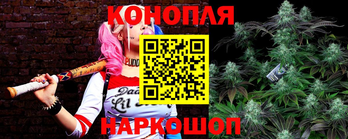 Конопля план  Бошки Шишки планчик  Вход с VPN  Сургут  Шишки марихуана планчик 